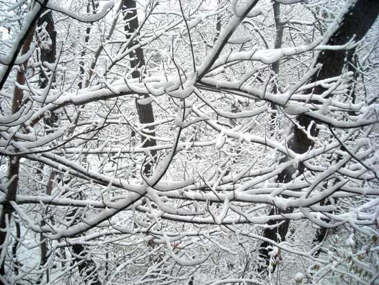 First Snowfall