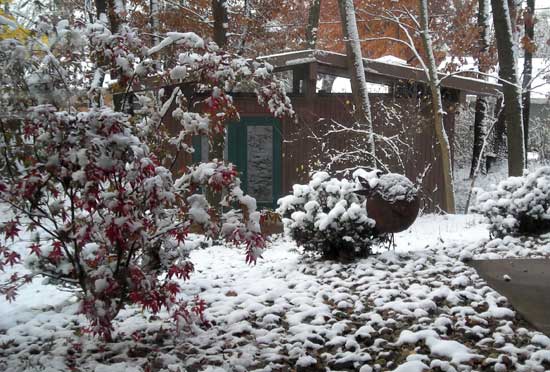 Shop In Snow